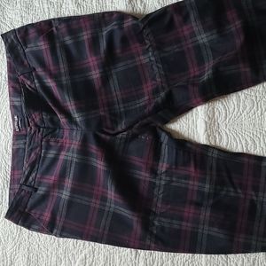 Express size 18 pant